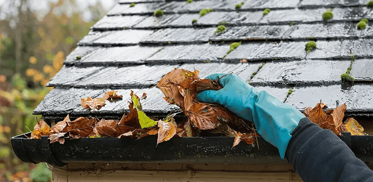 Gutter cleaning technician clearing wet leaves from roof gutters in Shreveport, LA